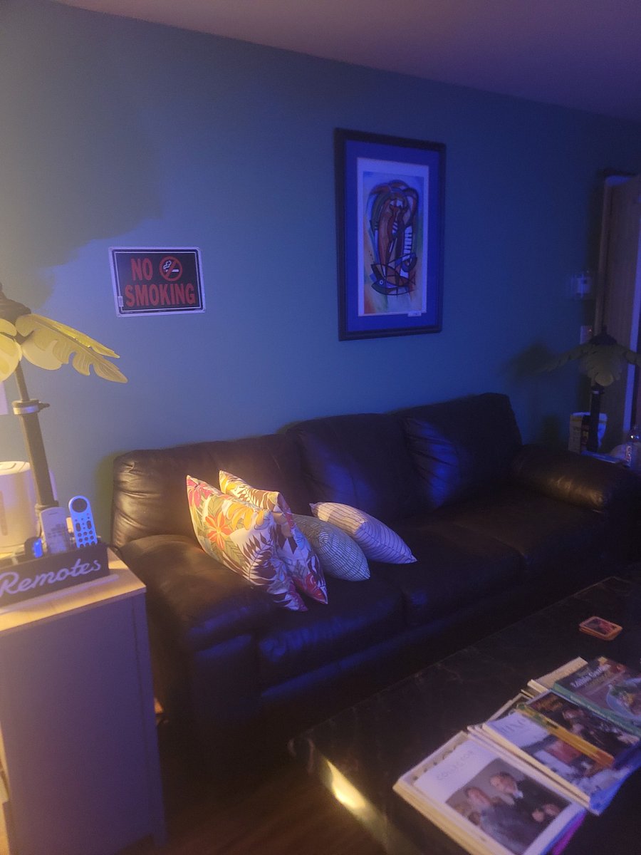 Leather Couch