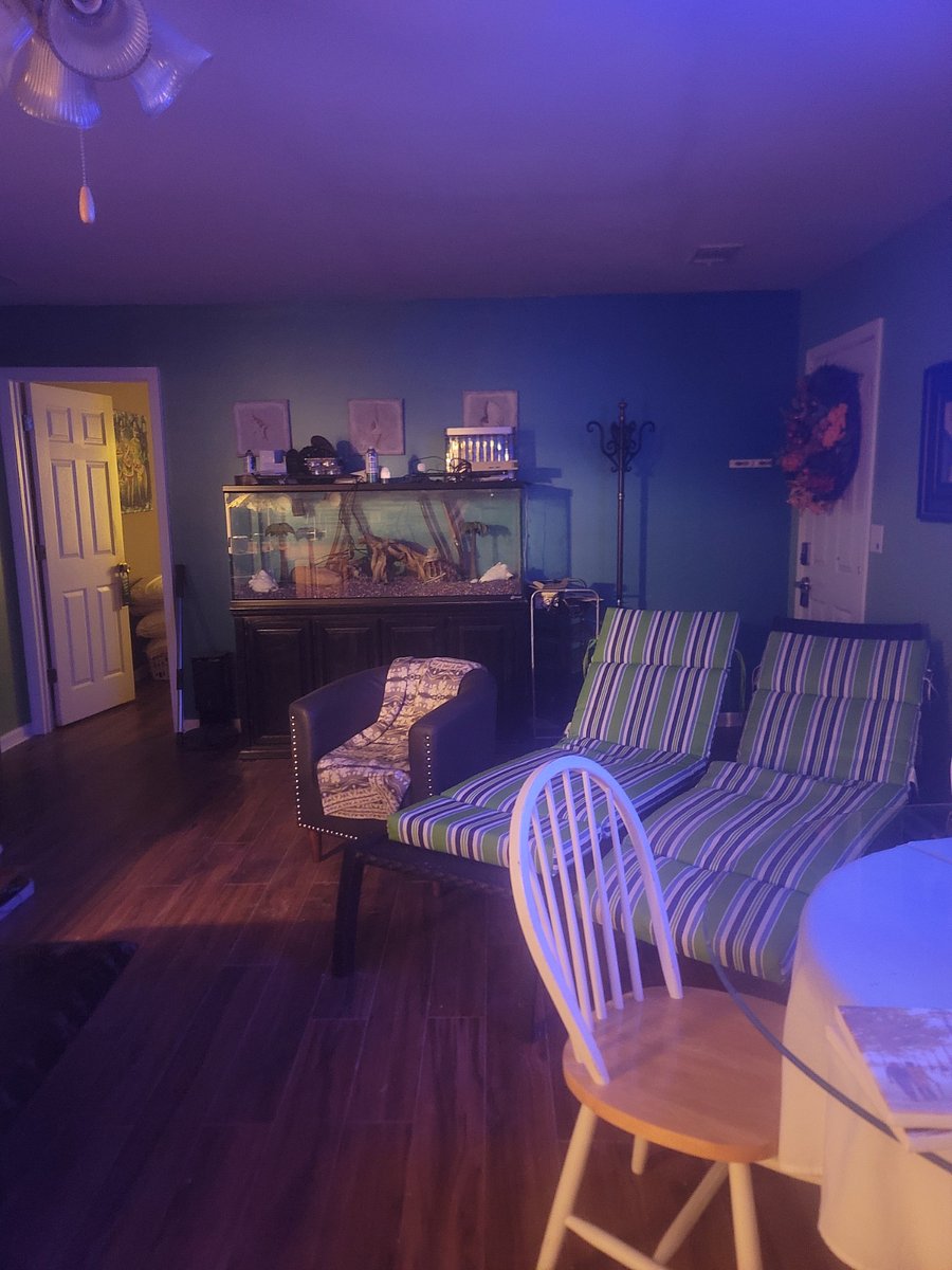 Open floor plan