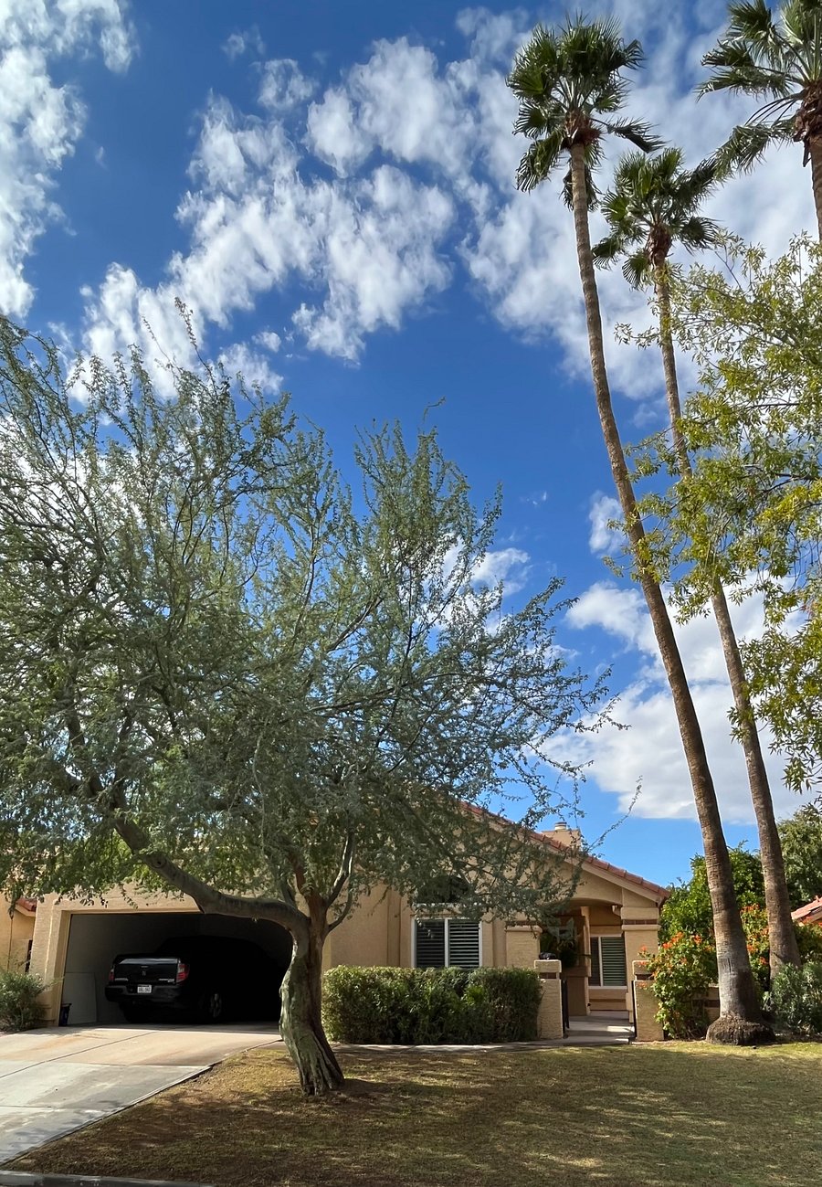 Furnished Finder property 837653_1 photo 13