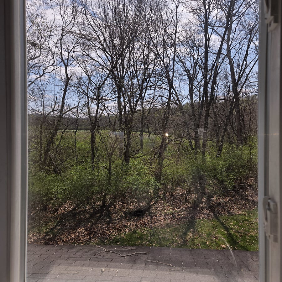 View from kitchen sink