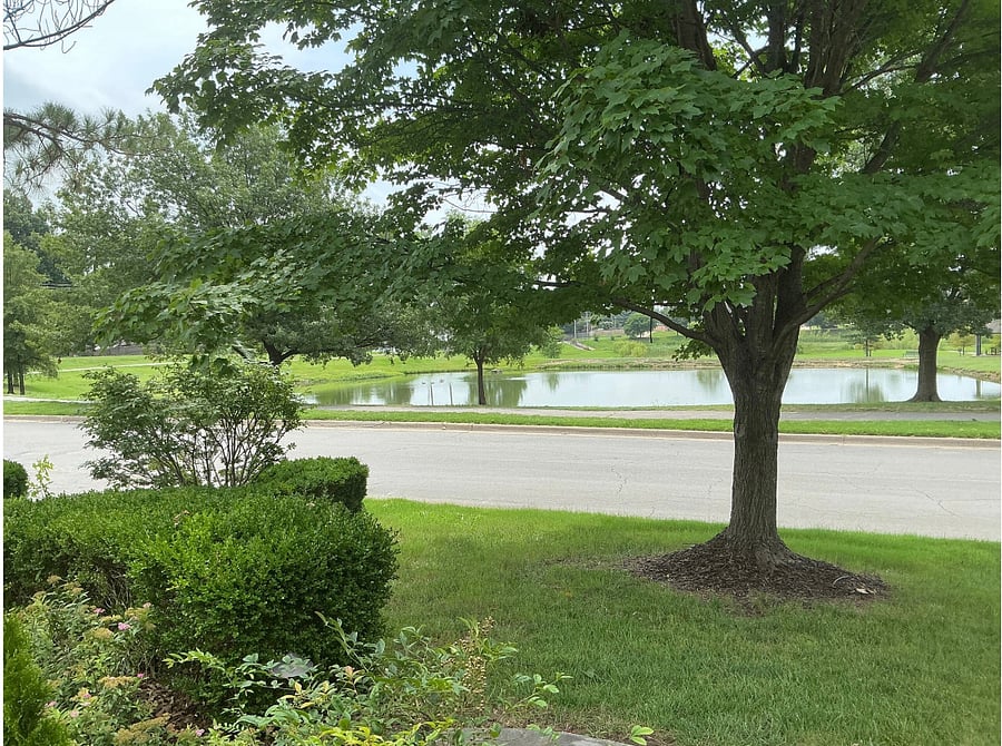 Furnished Finder property 837746_1 photo 25