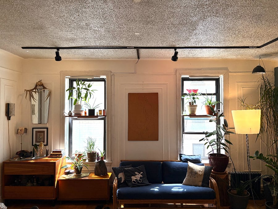 Den & Dining Room