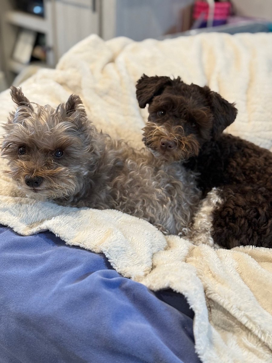 Buttercup and Winnie