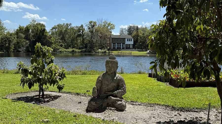Though Im not a Buddhist myself, the large Buddha statue in the backyard of my lakeside studio adds a peaceful, harmonious vibe to the space. It blends beautifully with the garden, creating a serene, zen-like atmosphere that really enhances the tranquil energy of the room. The presence of the statue helps me feel centered and connected to nature, making this little corner of the world feel like a perfect retreat