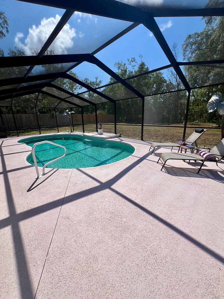 Furnished Finder property 838100_1 photo 14