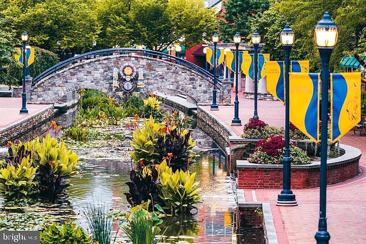 Lotus flowers & greenery in full bloom on Carroll Creek. Summer on the creek is a sight to see!
*Walking distance from the condo.