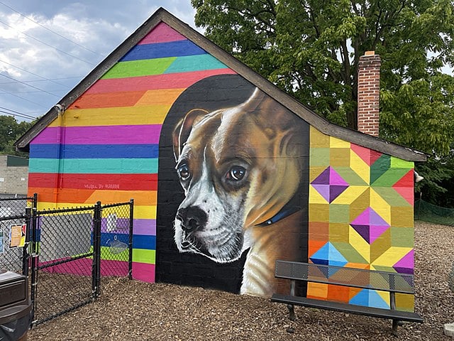 Baker Parks dog park is a favorite local spot where pups can play off-leash in a safe, fenced area brightened by colorful mural art.
*Walking distance from the condo.