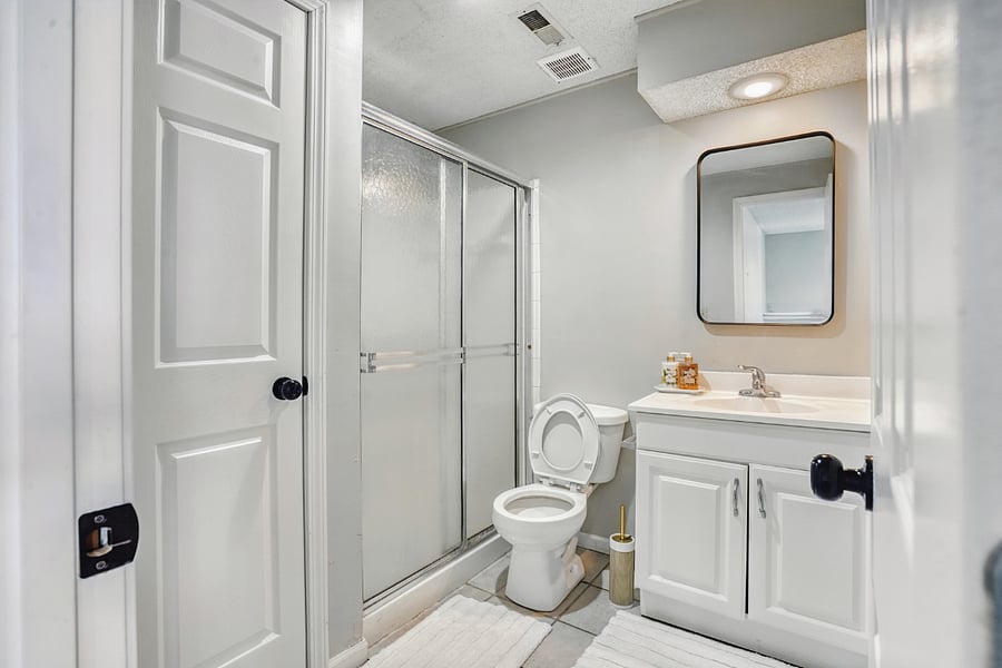 Lower floor bathroom 2