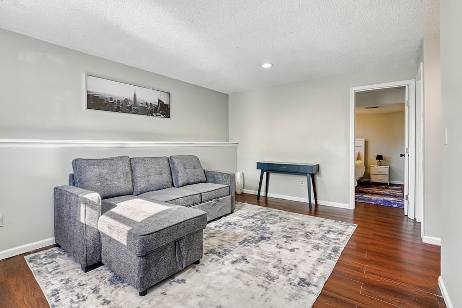 Lower floor living room 2 . Pull out couch 