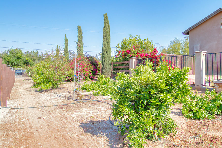 Fruit Orchard and Veggie Garden