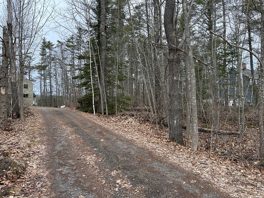 There is one neighbor to the right of the driveway, as soon through the wooded area. Once the leaves bloom the lot feels secluded.