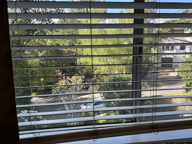 view from the studio