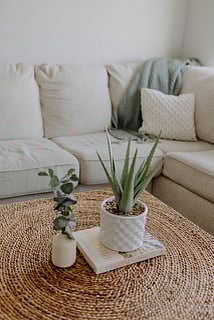 Furnished Finder property 839210_1 photo 7