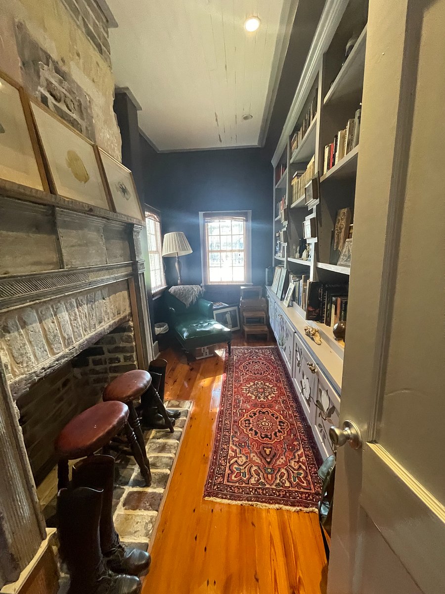Peaceful library with curated book collection
