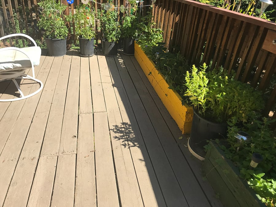 BACK DECK
