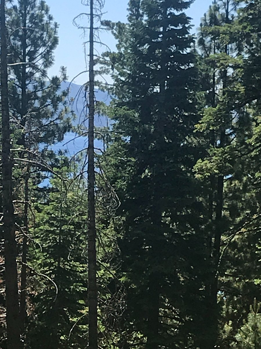 VIEW FROM BACK DECK

