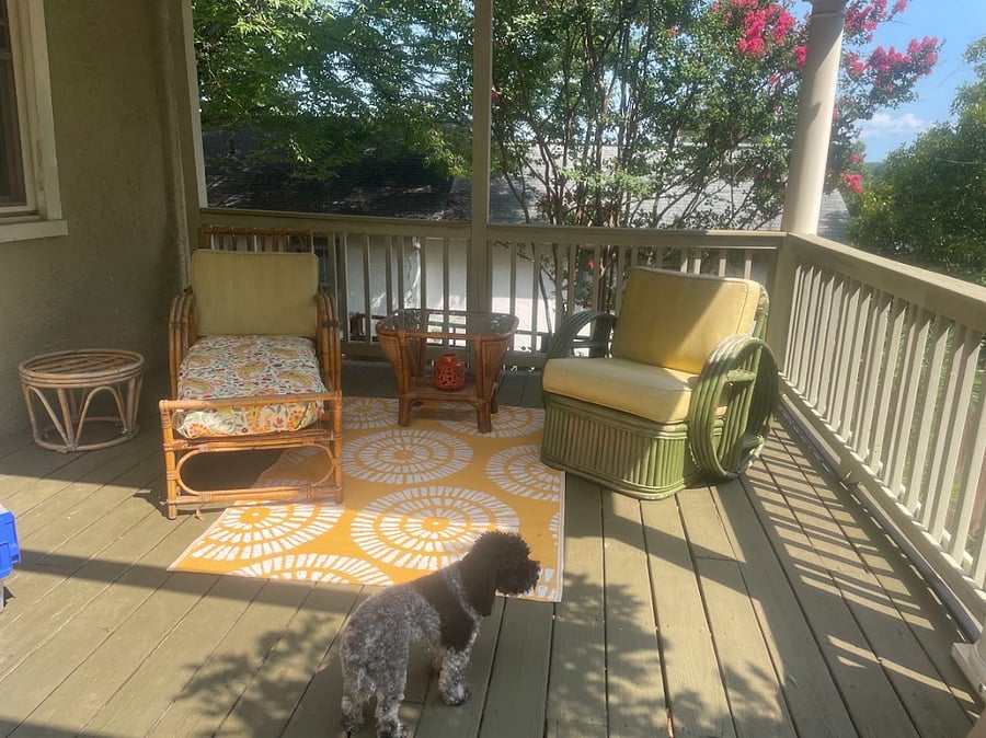 A huge and inviting back porch--12 x 30. Overlooks the garden. Yep, that's Smidge again.