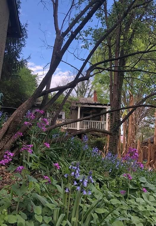 Springtime flowers, looking from the back of the property toward the porch.