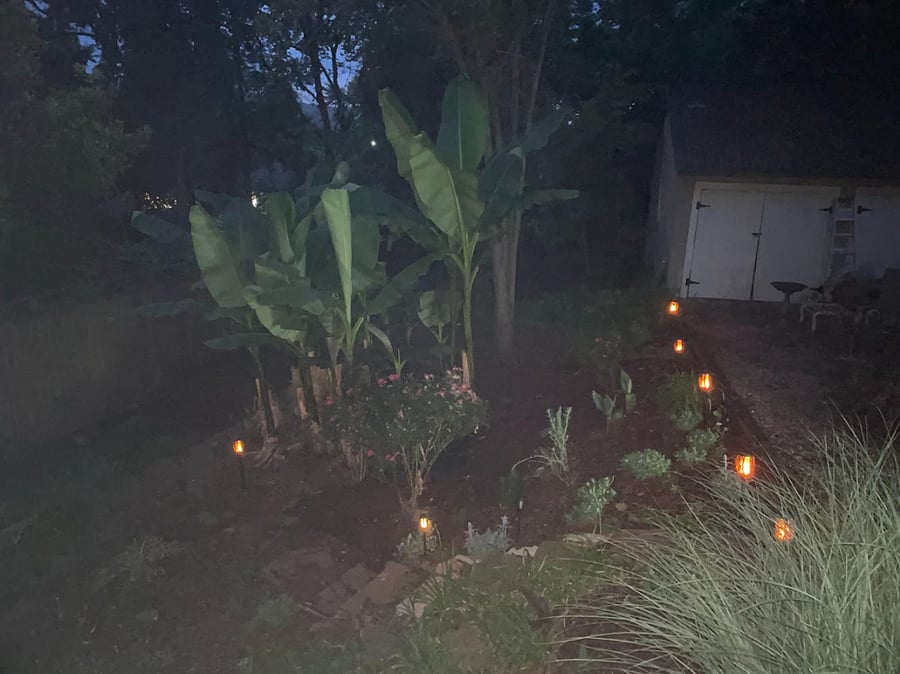 From the back porch looking down on the garden