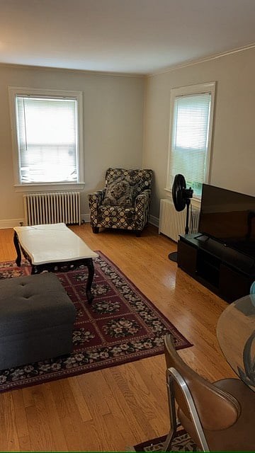 Furnished Finder property 839529_1 photo 3
