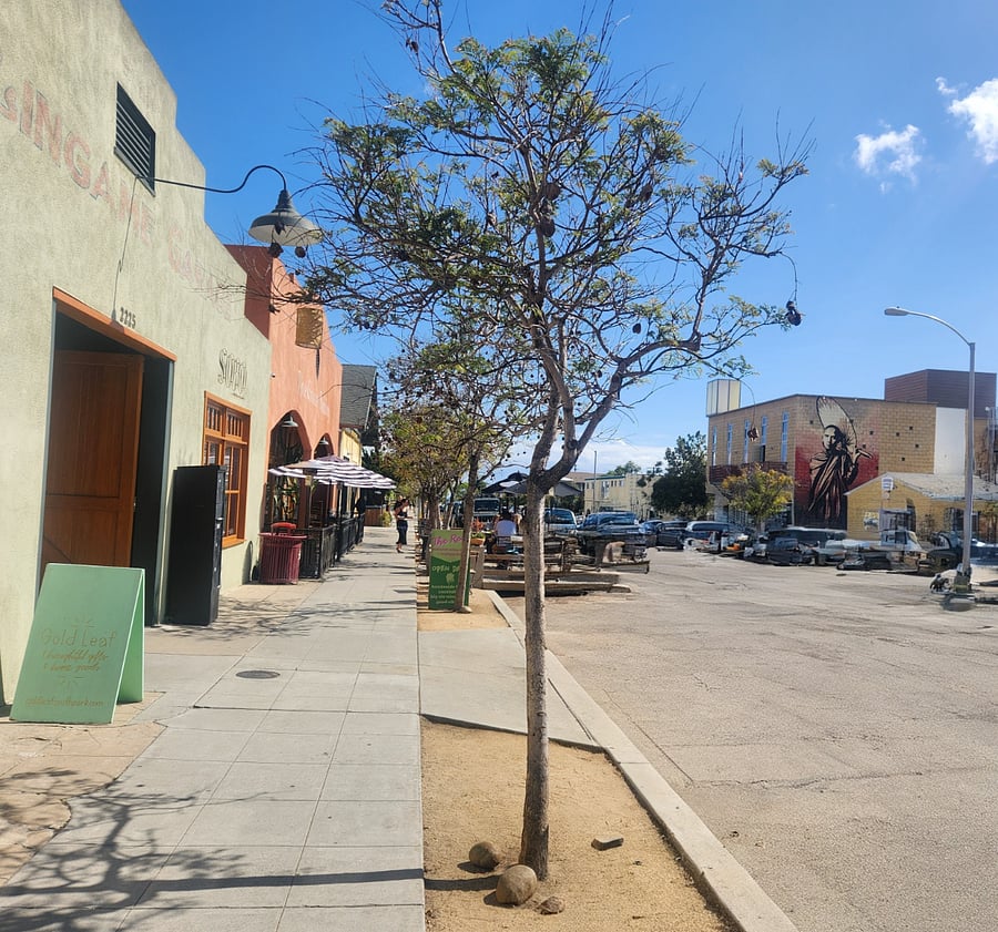 neighborhood vibes