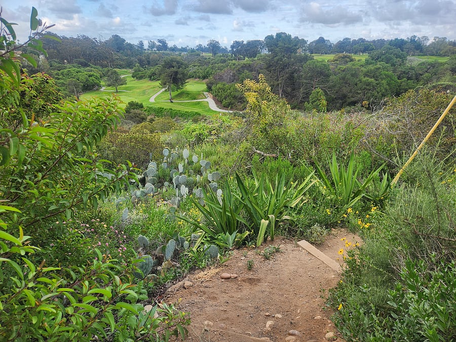Balboa park trails
