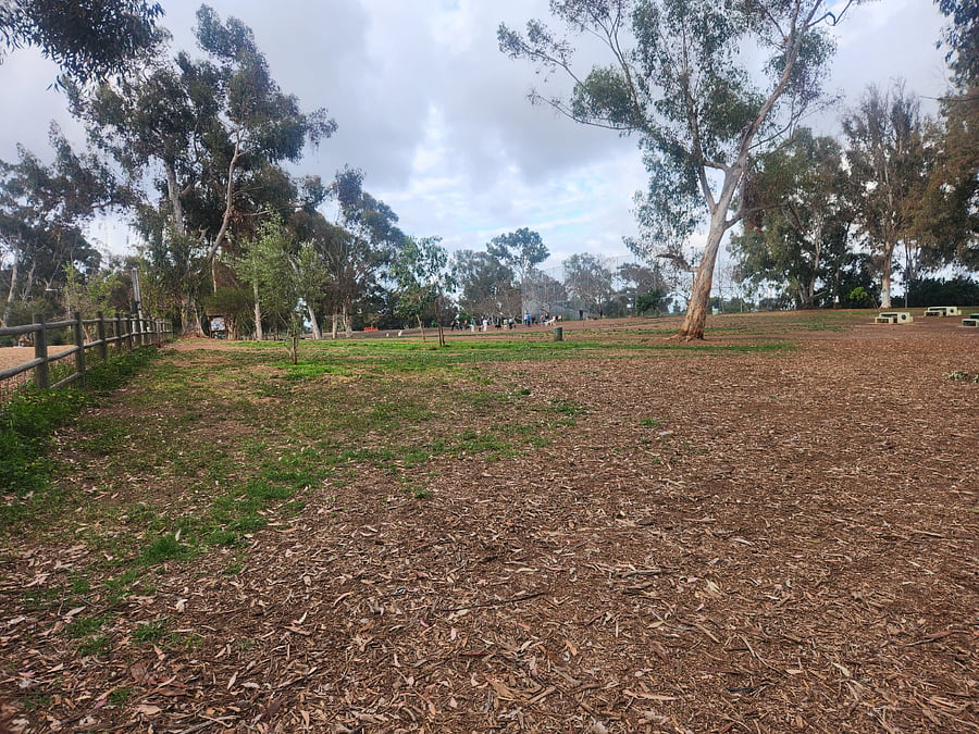 Grape Street dog park