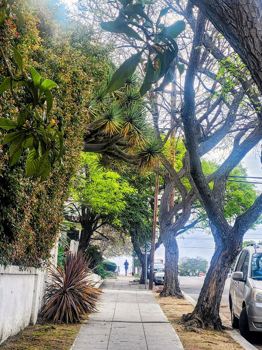 neighborhood vibes