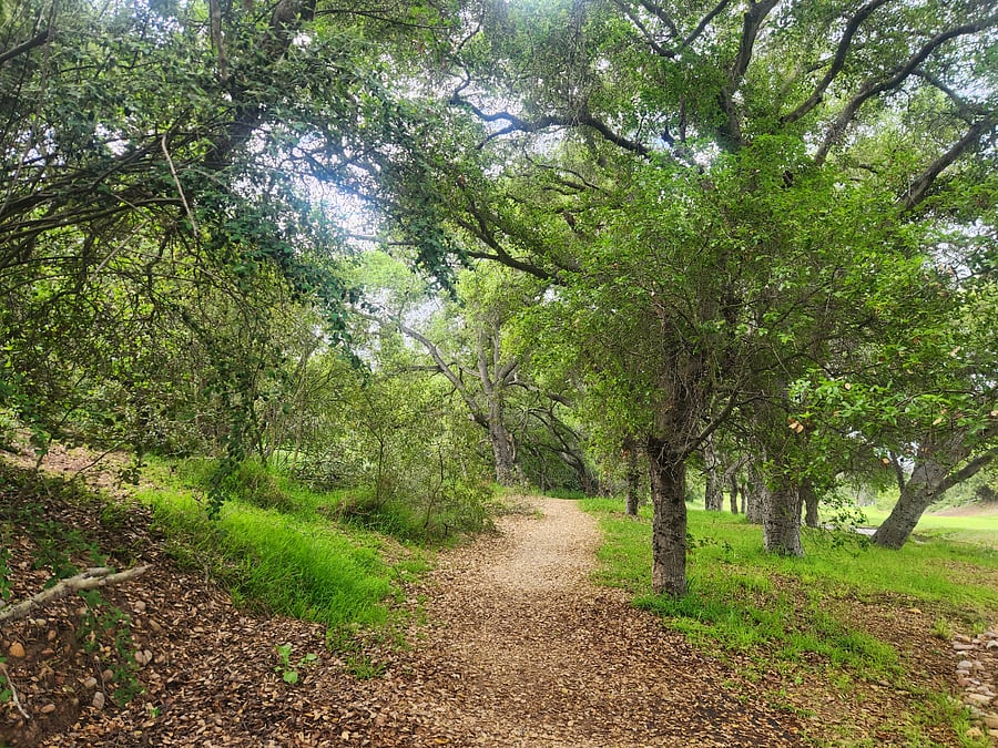 Balboa park trails