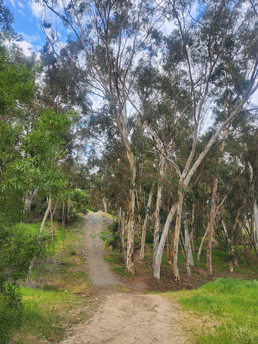 Balboa park trails