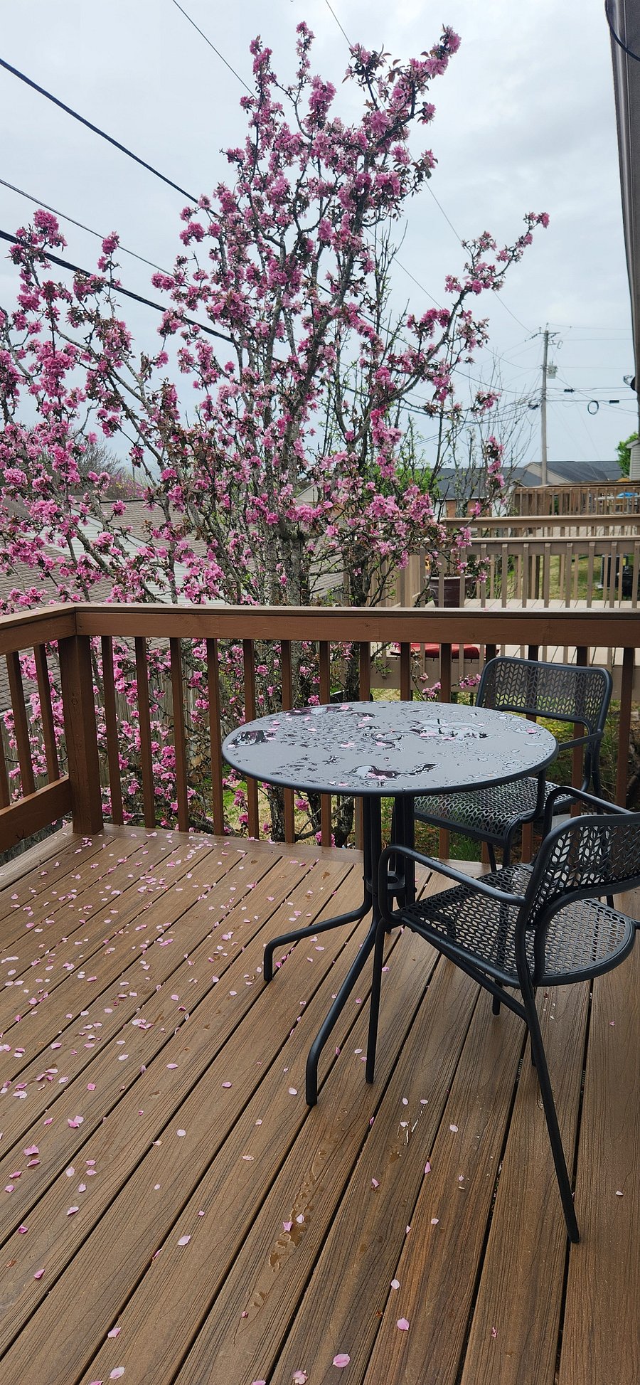 Furnished Finder property 839954_1 photo 8