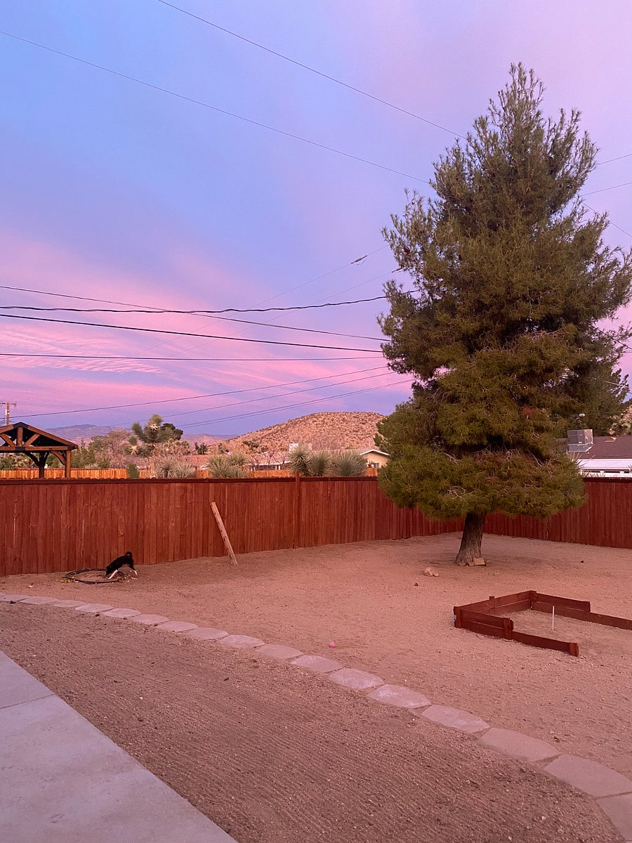 Backyard sunrise