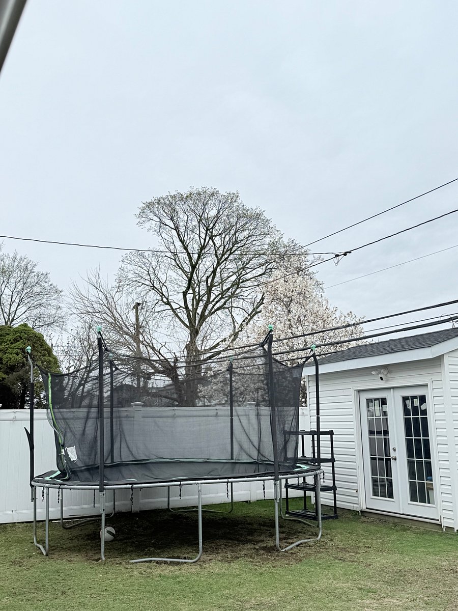 Trampoline