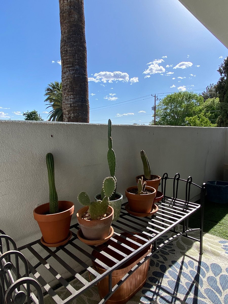 Furnished Finder property 840136_1 photo 23