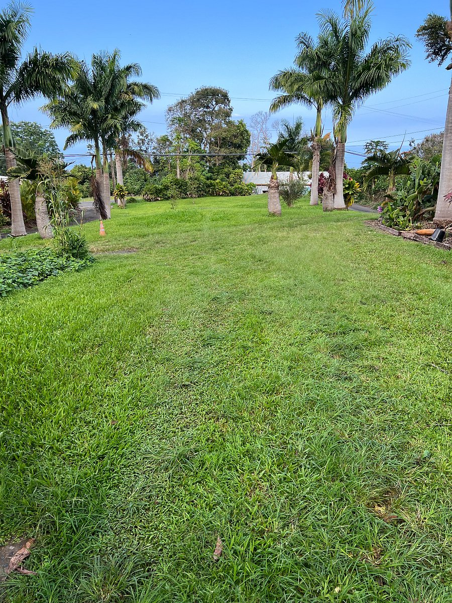 Furnished Finder property 840144_1 photo 11