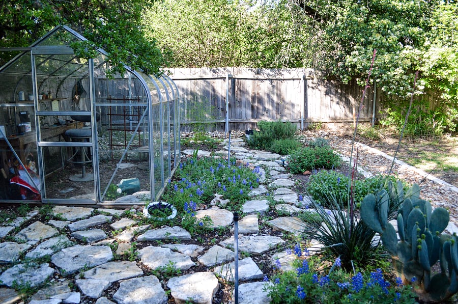 Garden View from Double Windows