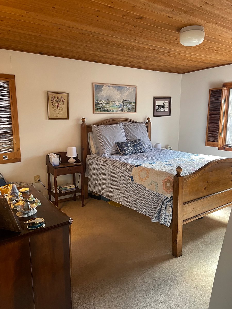 Primary bedroom, stately Pinon tree outside