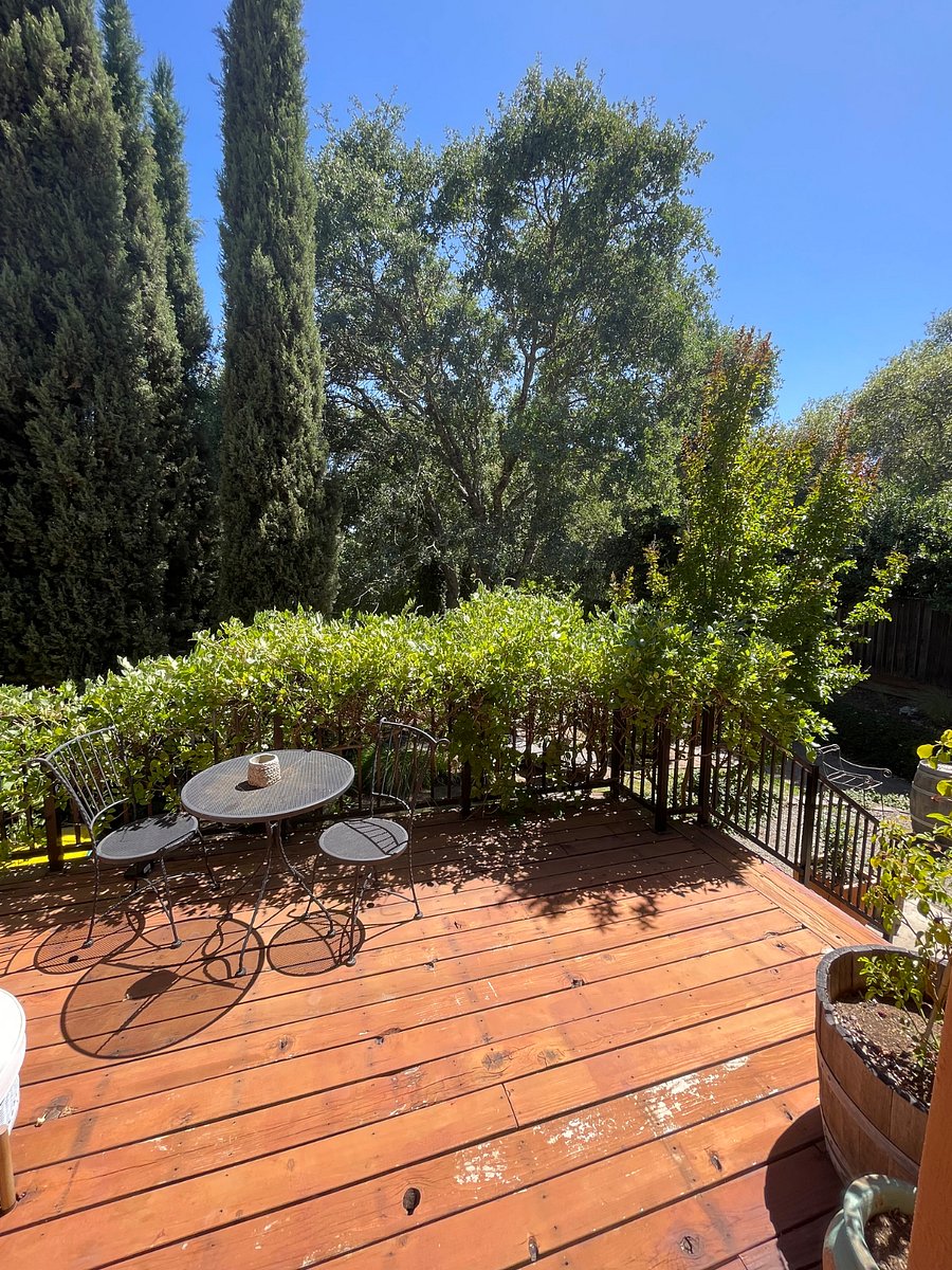 Furnished Finder property 840565_1 photo 9