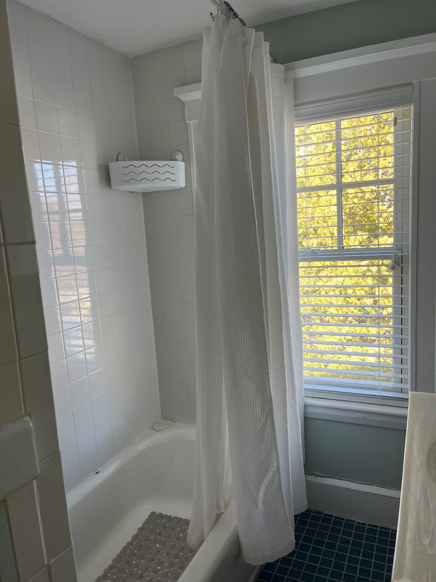 shower/bath window
