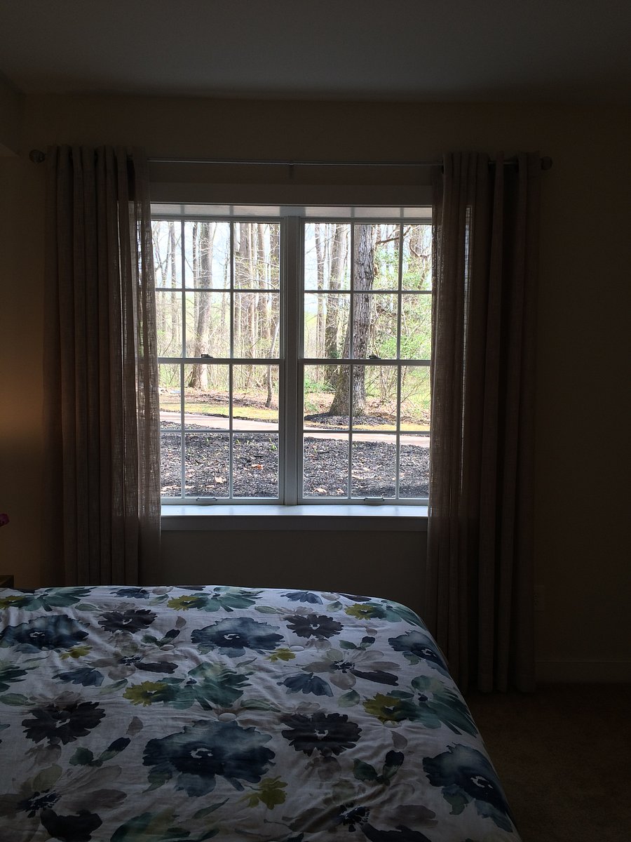 Bedroom Window - has black out shades