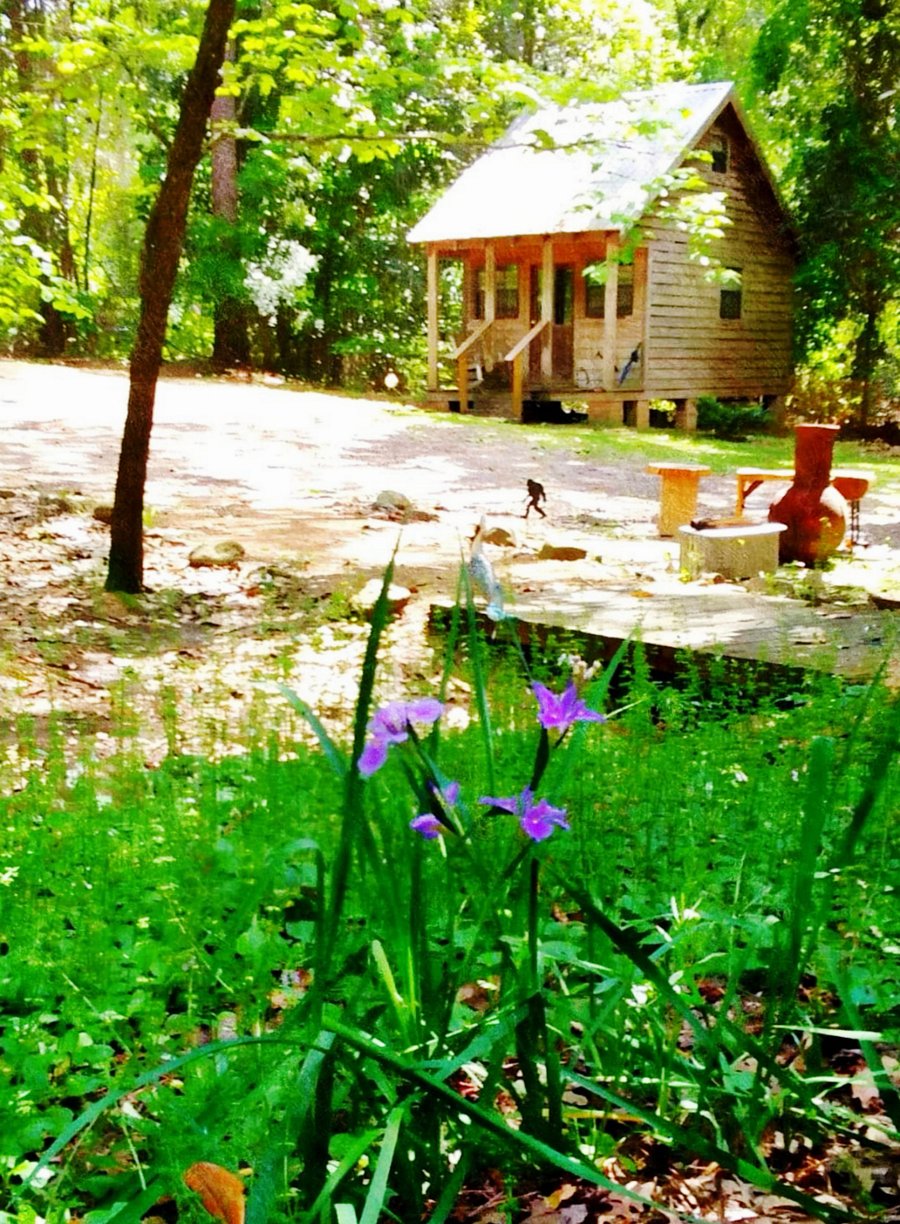 ...out. Here is Magnolia Cabin from the main house. Laundry, covered deck and other amenities are at the main house.