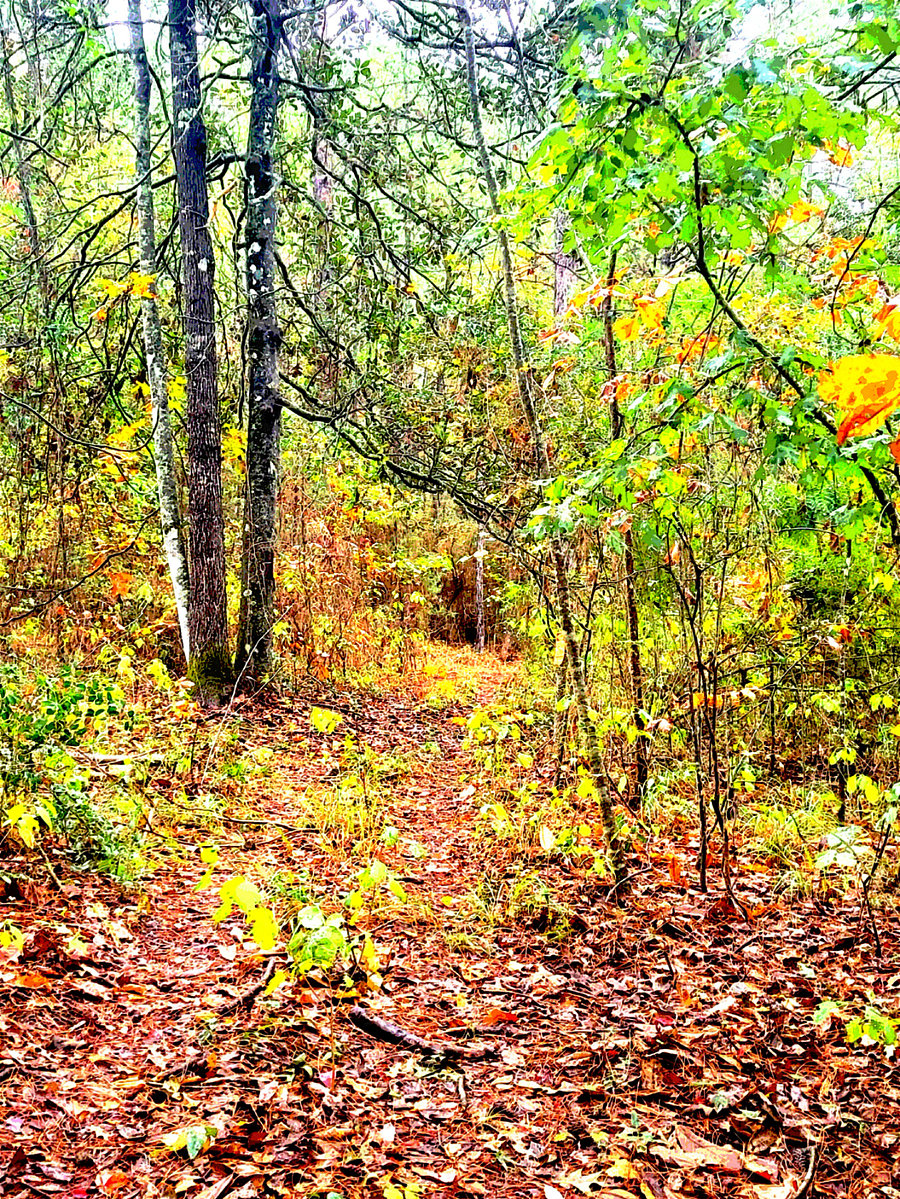 Ah, fall!