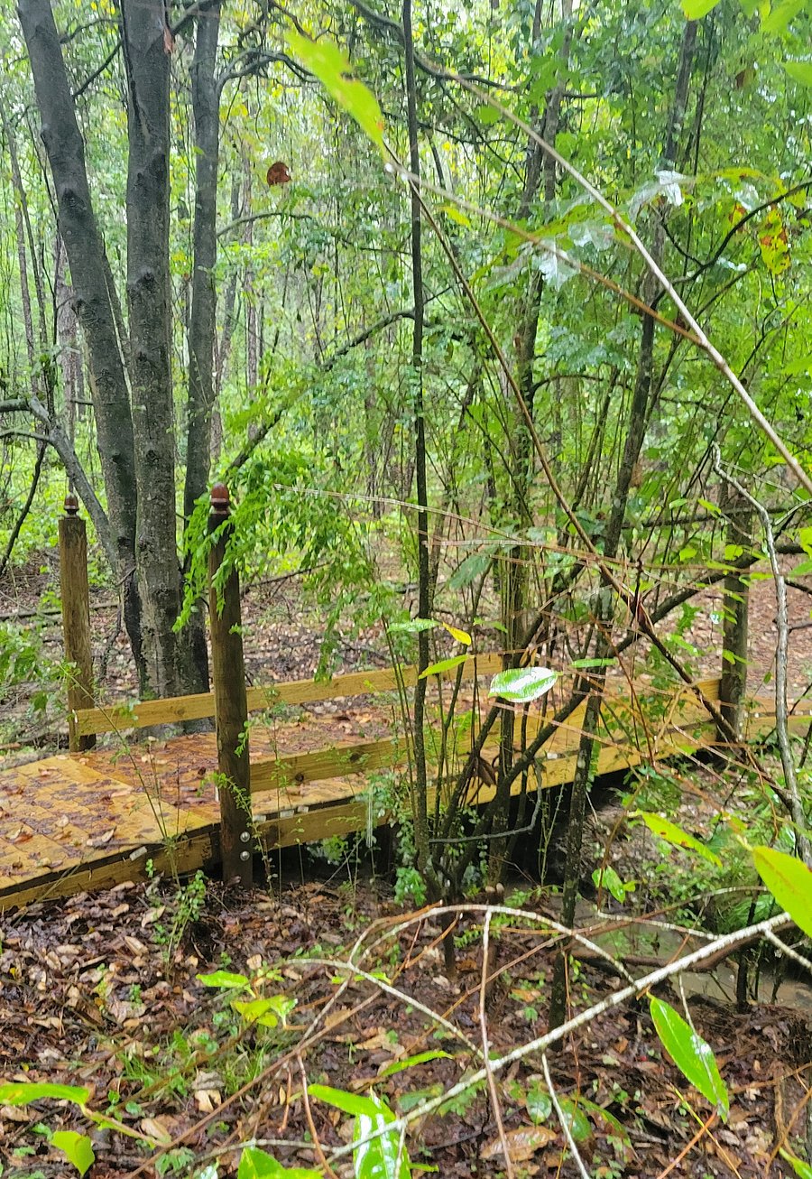 The Acorn Bridge