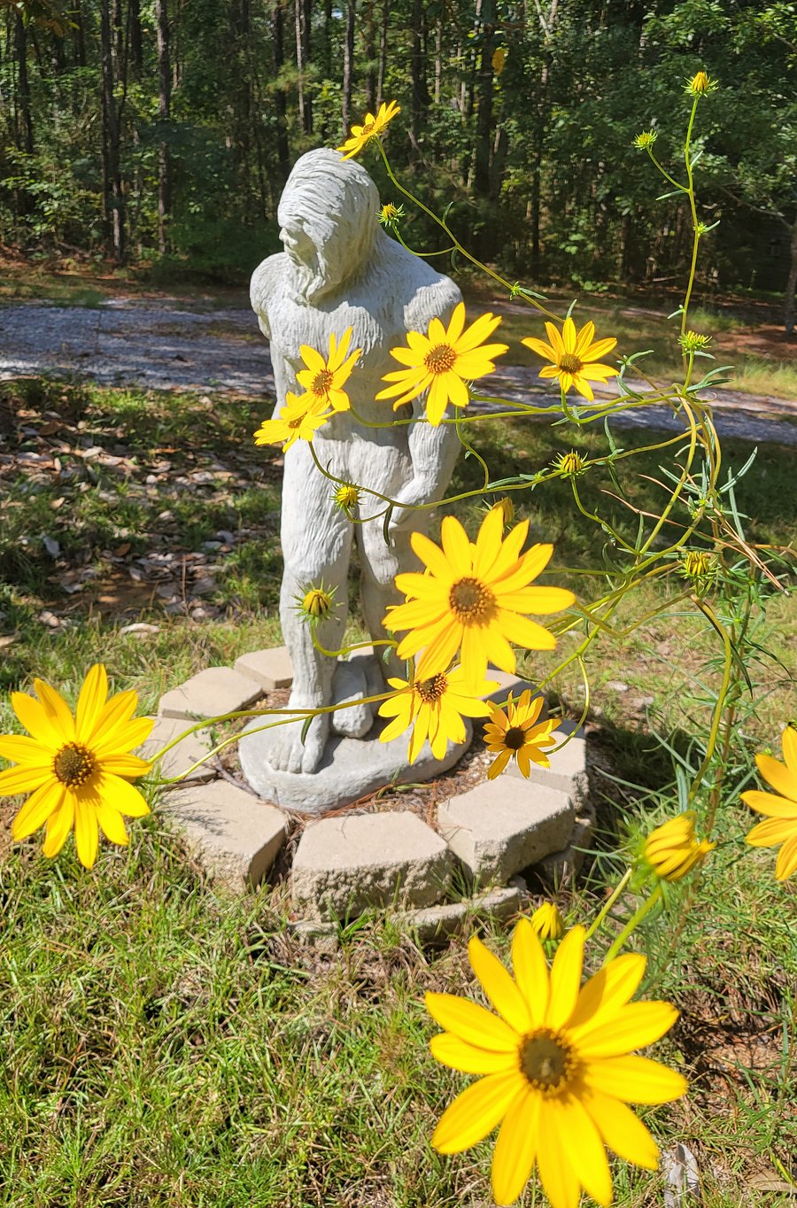 Outside, our friendly Bigfoot will greet your arrival each day. He often dresses in seasonal attire. Other times, he lets the wildflowers do the talking.