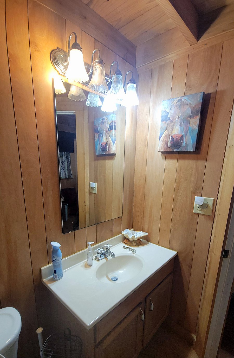 The bathroom sink top has a lot to offer in a little space, especially if you don't mind a cow watching your morning magic happen.