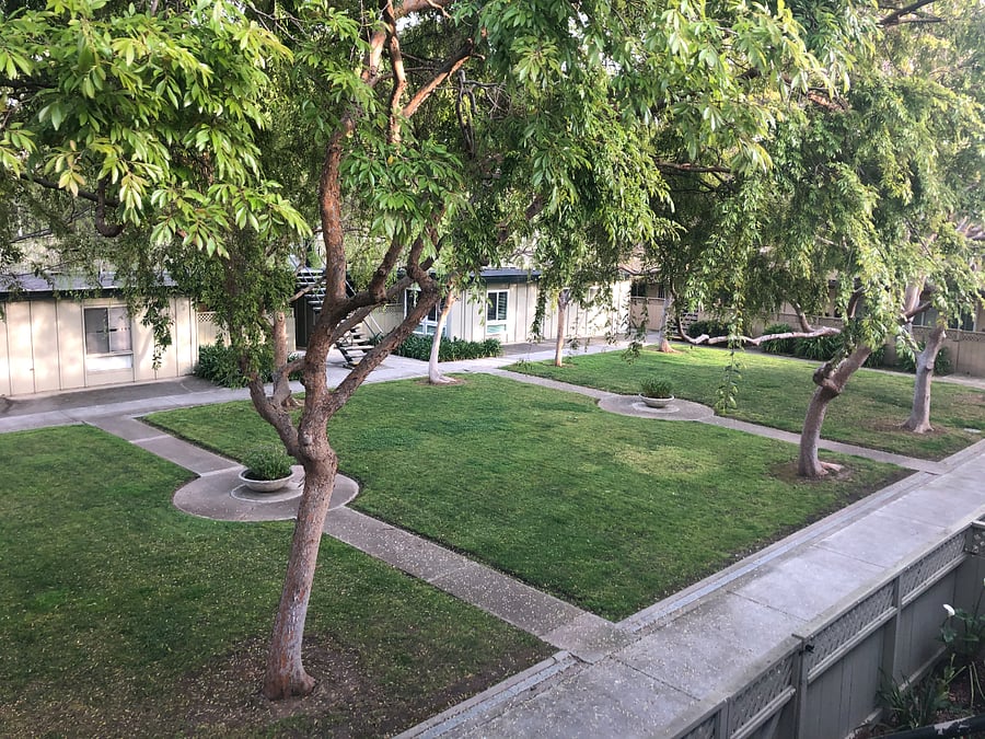 Quiet shared courtyard
