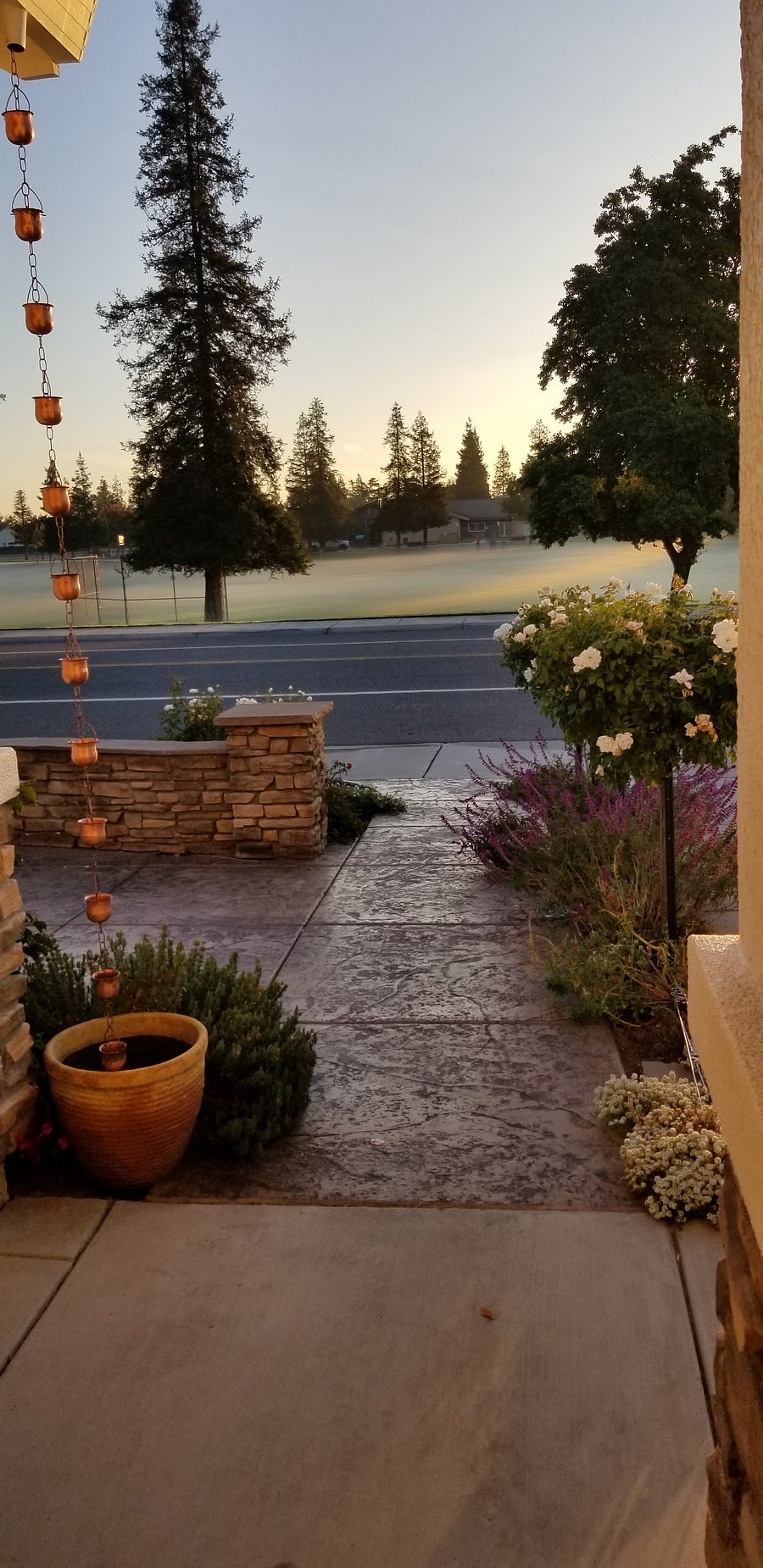 Morning park views