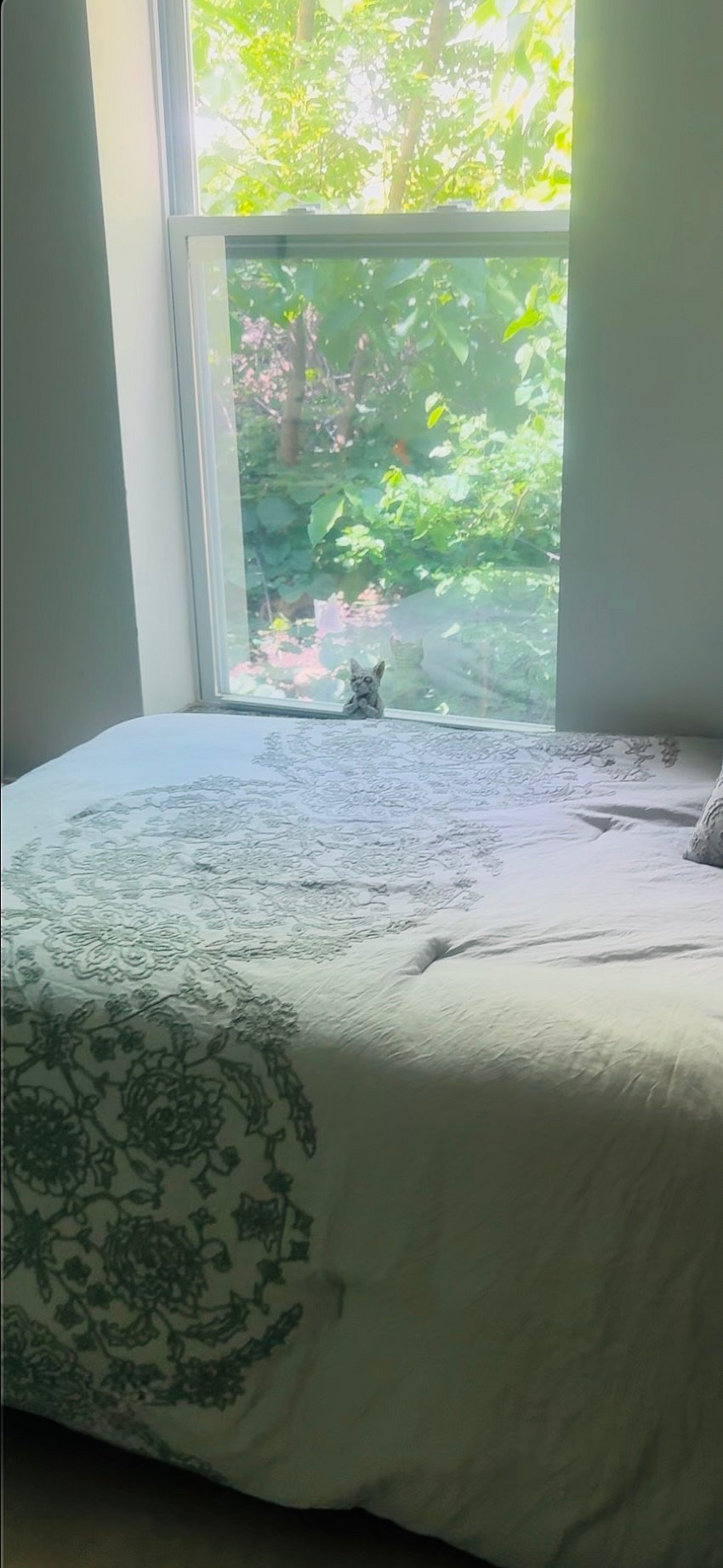 Furnished Finder property 841369_1 photo 17