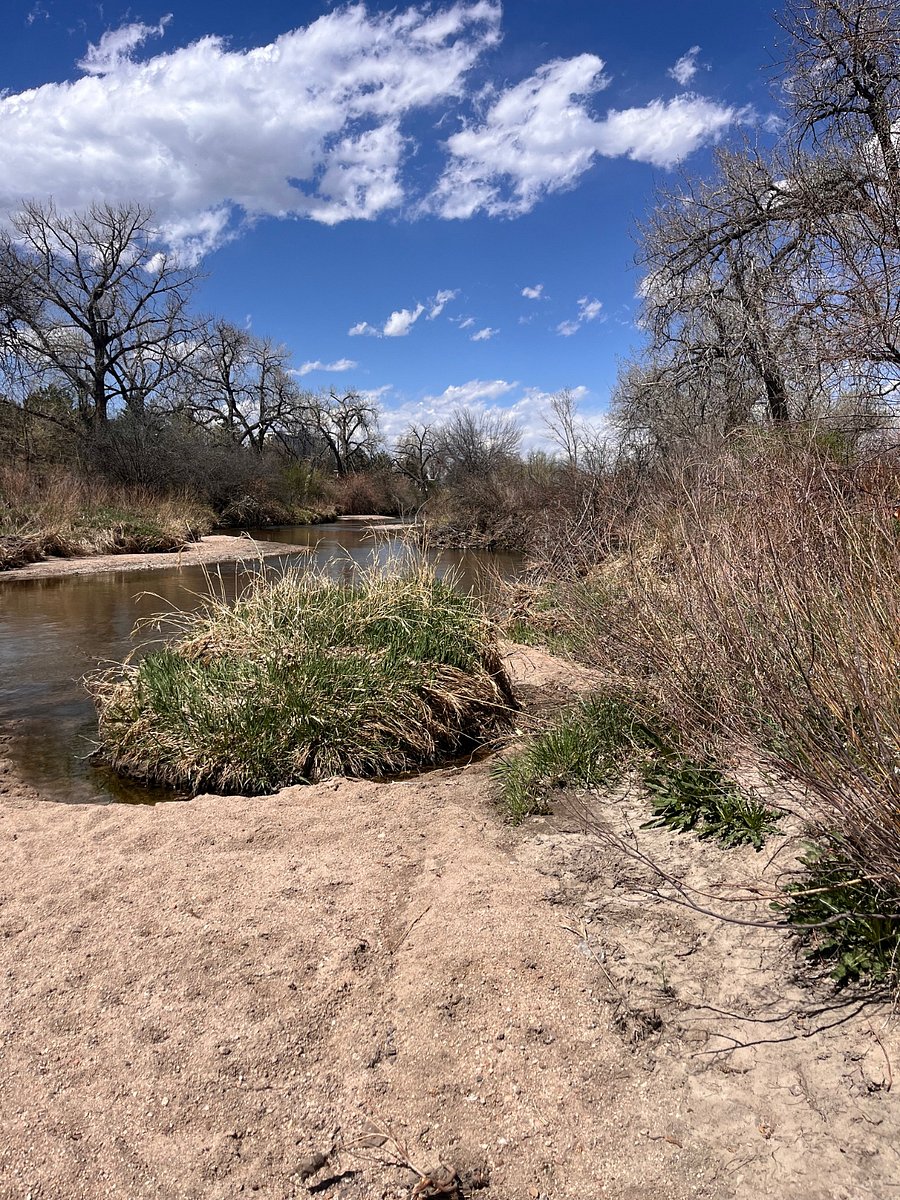 5 minute walk to Cherry Creek Trail.