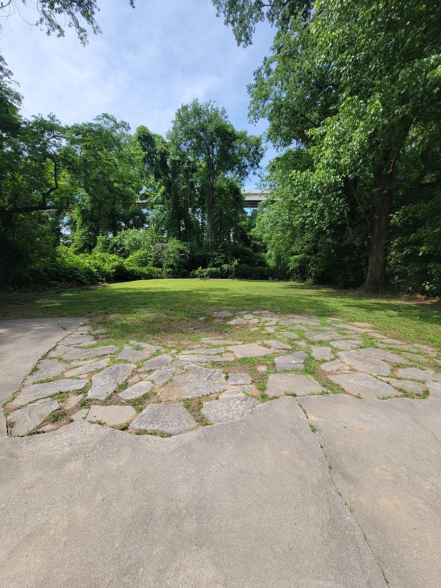 Step into a lush, rainforest-inspired backyardan inviting retreat perfect for grilling, unwinding, and recharging after a long days work